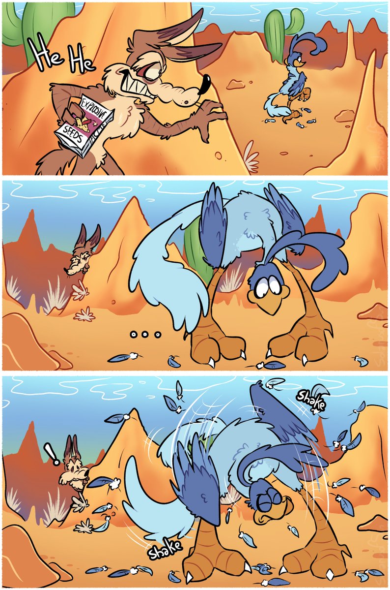 solarusofsun's tweet photo. #Wilerunner ✨️ #Wileroad

[ENGLISH VERSION]

 TW// LESBIANS, SHE/HER LOONEY TUNES, YURISLOP, BOTH ARE GIRLSSS

Just a silly idea I have about the Coyote forgetting that birds have to moult their feathers https://t.co/TmkoXrqO0i