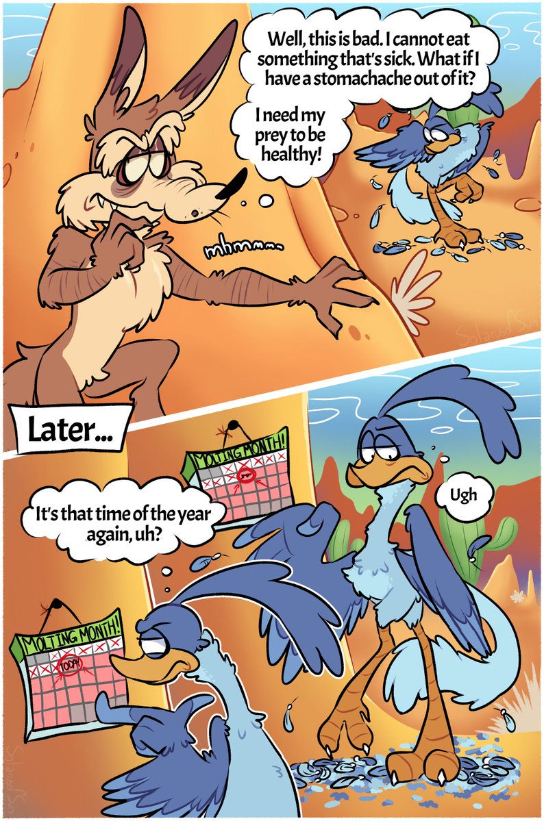 solarusofsun's tweet photo. #Wilerunner ✨️ #Wileroad

[ENGLISH VERSION]

 TW// LESBIANS, SHE/HER LOONEY TUNES, YURISLOP, BOTH ARE GIRLSSS

Just a silly idea I have about the Coyote forgetting that birds have to moult their feathers https://t.co/TmkoXrqO0i