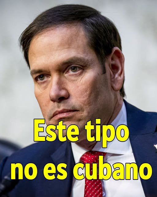 ESanchezcub's tweet photo. 🌵🇨🇺
Los leo abajo👇 https://t.co/YTrR0moalx