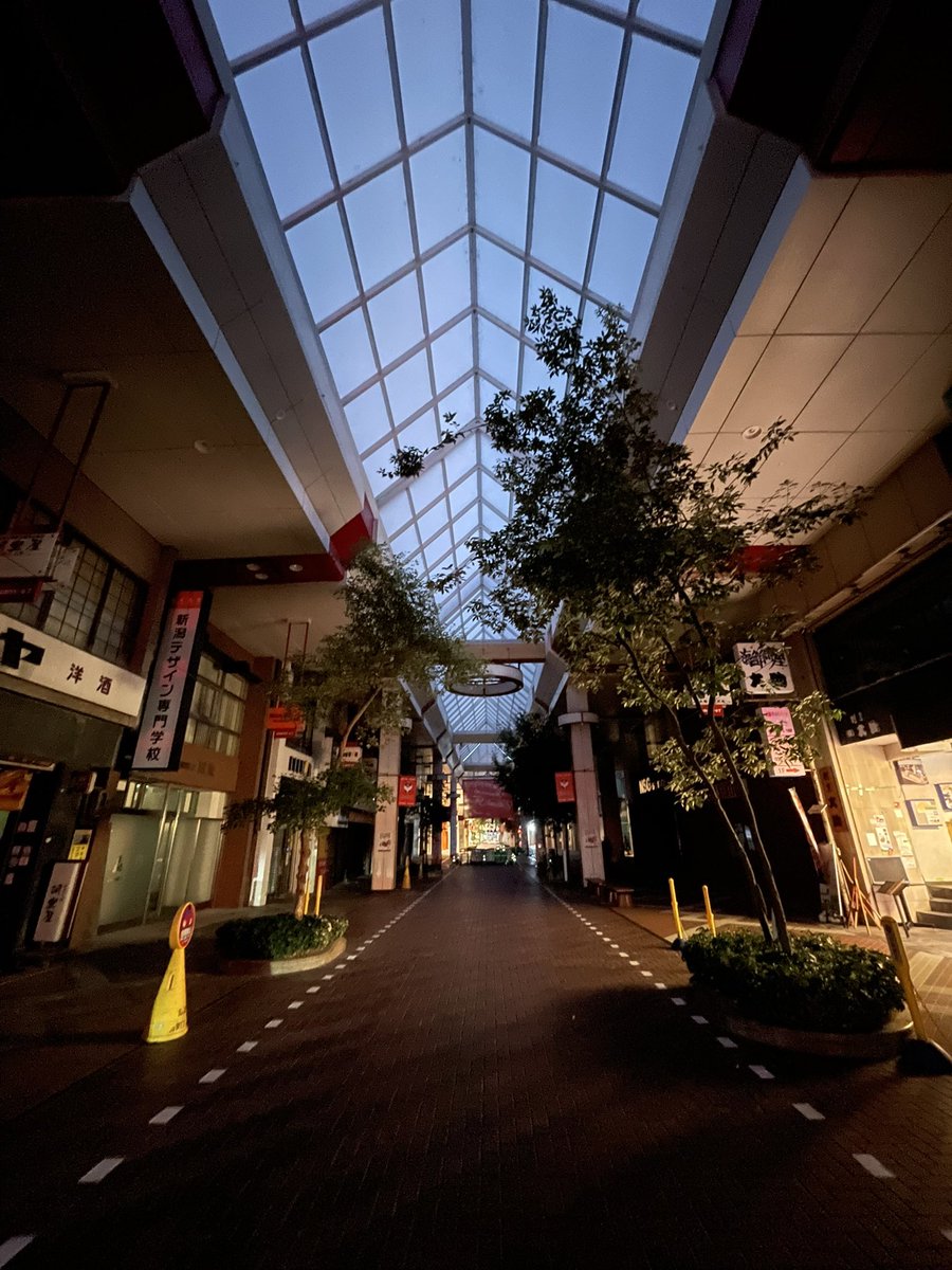Ojmzic's tweet photo. 古町モールの草木は、完全に害。
良い事は一つもない。
管理する気がなくて薄汚いところが多数。
催事に邪魔。
自転車を停めさせた方がまだ需要になる。 https://t.co/bgAyTx2hse
