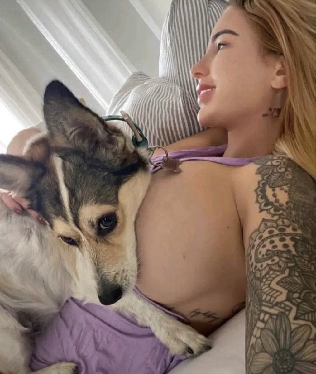 yahairatirado's tweet photo. Woke up a bit sore.
Last night was intense.
Uncut version is in private.
Link in bio
#dogs #K9 #USA https://t.co/J2AZbkkw0h