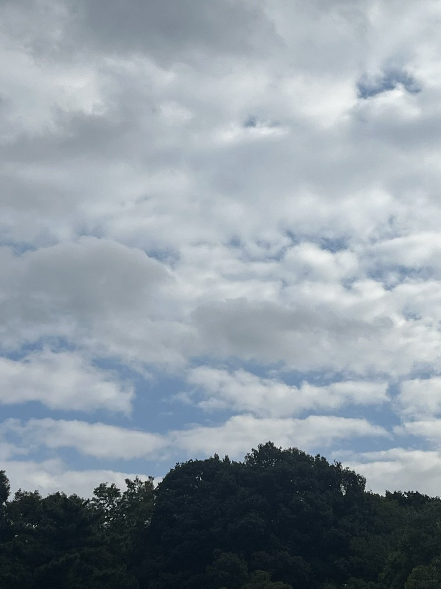 shu_null's tweet photo. 新曲のジャケット撮影行ってきた。
木！🌲🌳🪵 https://t.co/2ft9pWN8lW