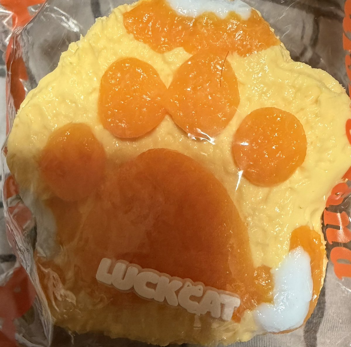 zamuko06's tweet photo. 最近のお気に入りスクイーズ達🫶
JammyJemの超疲れたパックシリーズ！
とププランドの大福とラックキャットの
肉球スクイーズ🙆‍♀️
どれも揉み心地最高☺️❤️
パックシリーズは一部光ります！
これがまたたまらん🤤
目指せコンプリート‼️🥹
なんだけど・・・
シクレ合わせて3種類😅
流石に買うの怖いよね🤣 https://t.co/c5xtMXNFzg