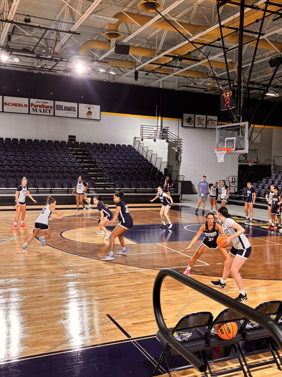 AugieWBB's tweet photo. Got to wrap up our preseason with practice in the Elmen Center! 

Official practice coming soon 🥳

#BuildingChampions ⚔️ https://t.co/VQVuOsoMTj