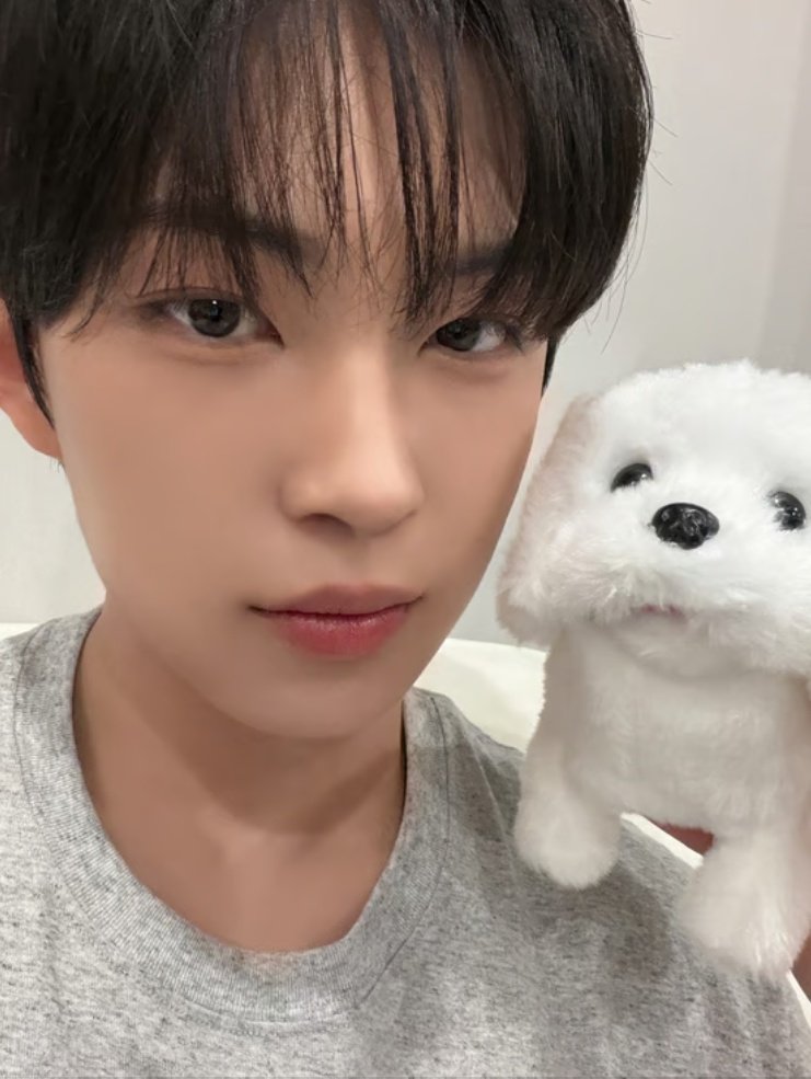 gyesha__'s tweet photo. So adorable (๑•ᴗ•๑)♡ https://t.co/XsplijREWJ