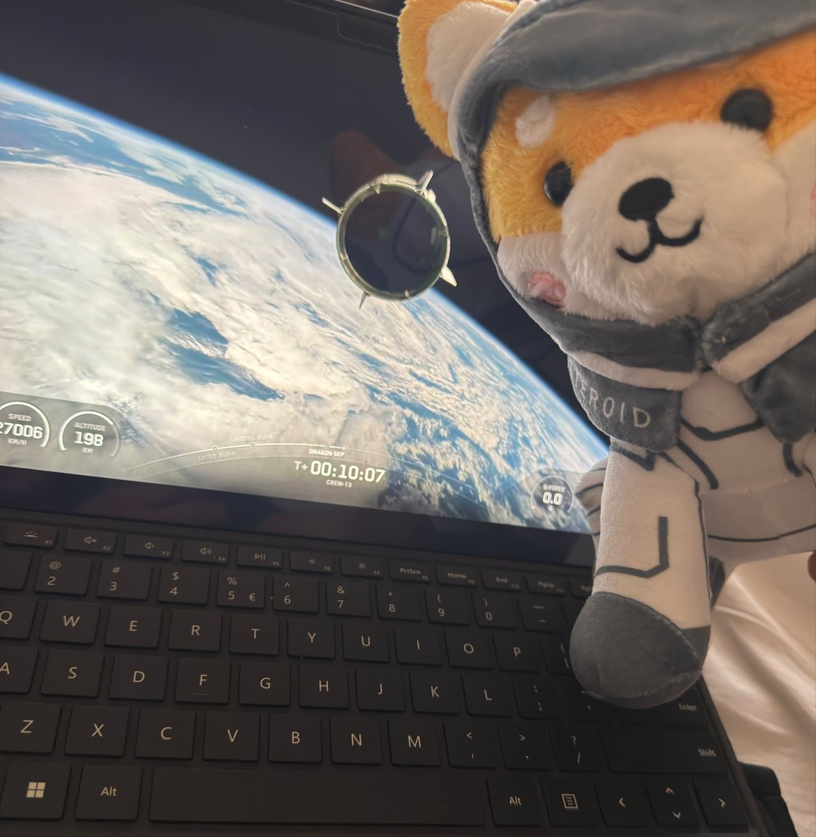 jiunCrypto's tweet photo. 168 days ago, Elon Musk answered “Ok 😀” to making Asteroid the mascot of SpaceX.

Asteroid is the Shiba Inu zero-g indicator Liv Perrotto designed for the Polaris Dawn mission. It was the last question on the list she never got to ask him. He said yes. Jared Isaacman thanked him for honoring her. Her family saw it. The internet saw it.
Then silence.
Since that reply, Starship has kept flying. Crew-13 has flown. Hardware has launched, landed, and made history in public. The mascot he agreed to has not been mentioned once.
Asteroid is not a fan idea waiting for permission. It is the answer he already gave. A Shiba Inu that was built to float in zero-g, tied to a real mission, tied to a promise, and confirmed by the person who runs SpaceX.
Great flights deserve a face. Programs get patches, indicators, and symbols for a reason. People remember the dog on the indicator. They remember the story behind it. Leaving Asteroid off the board after an open “Ok” makes the yes look smaller than it was.
It has been 168 days. Starship is flying. Crew-13 happened. The decision is already on the record.
Tell the world about Asteroid. Openly.