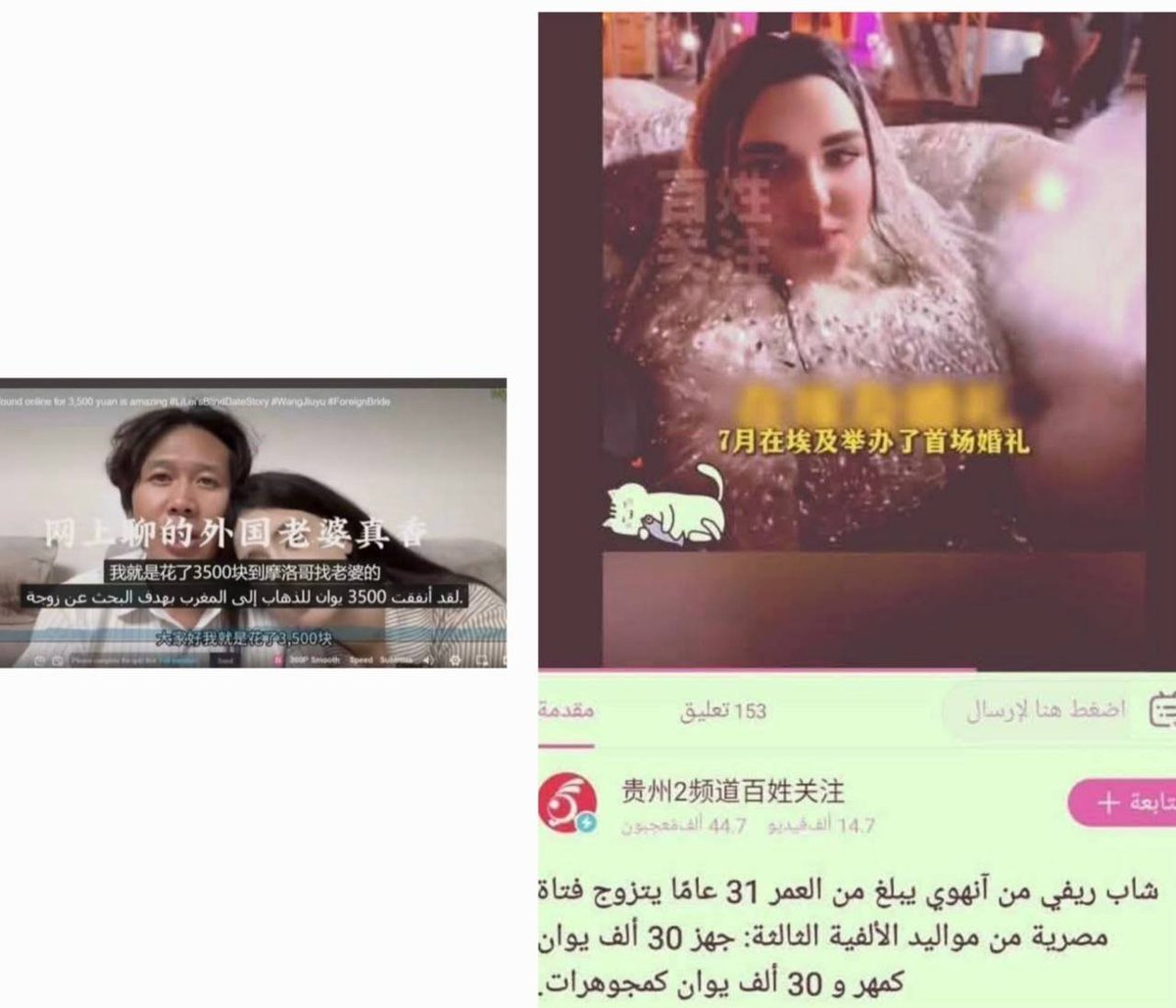 rewanayman79's tweet photo. @mimihaElz_77 يا حبيبتي اسألي نفسك الكلام ده ظهر ليه بعد ترند لا للتجهيز ابراهيم نجم اول واحد اتكلم عن الموضوع قالهم دي بيشتريلها شقة جنب اهلها والمترجم الغير امين ده قال المهر نص مليون كان مستحيل ياخدوا الكلمتين دول في ظل الترند لأنهم عارفين خلاص كلام زي سبوبة مش هيرهبنا بالعكس https://t.co/sIDJfQxvcv
