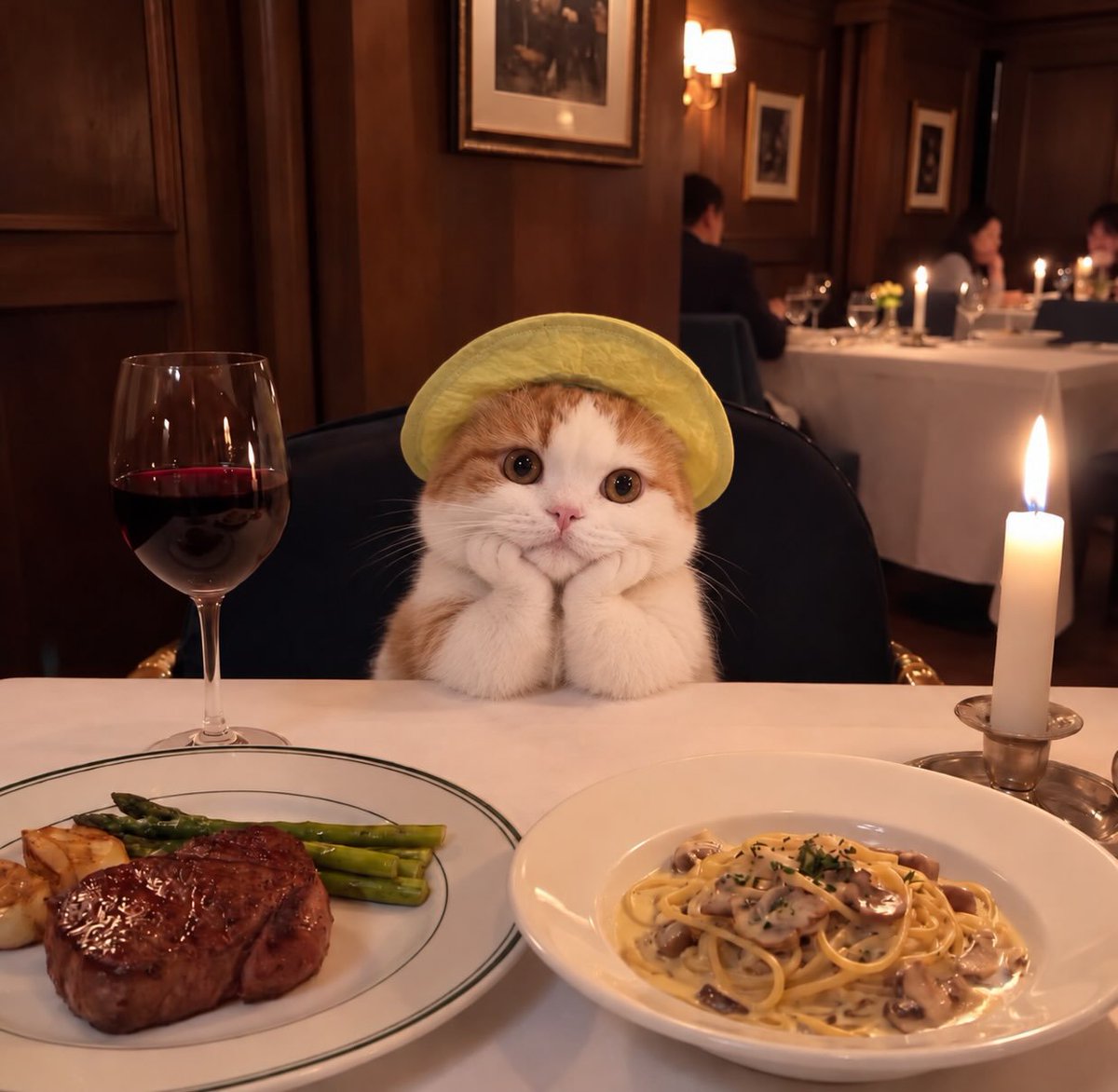 catflixseries's tweet photo. Date v2 https://t.co/jHXHjAS3bY