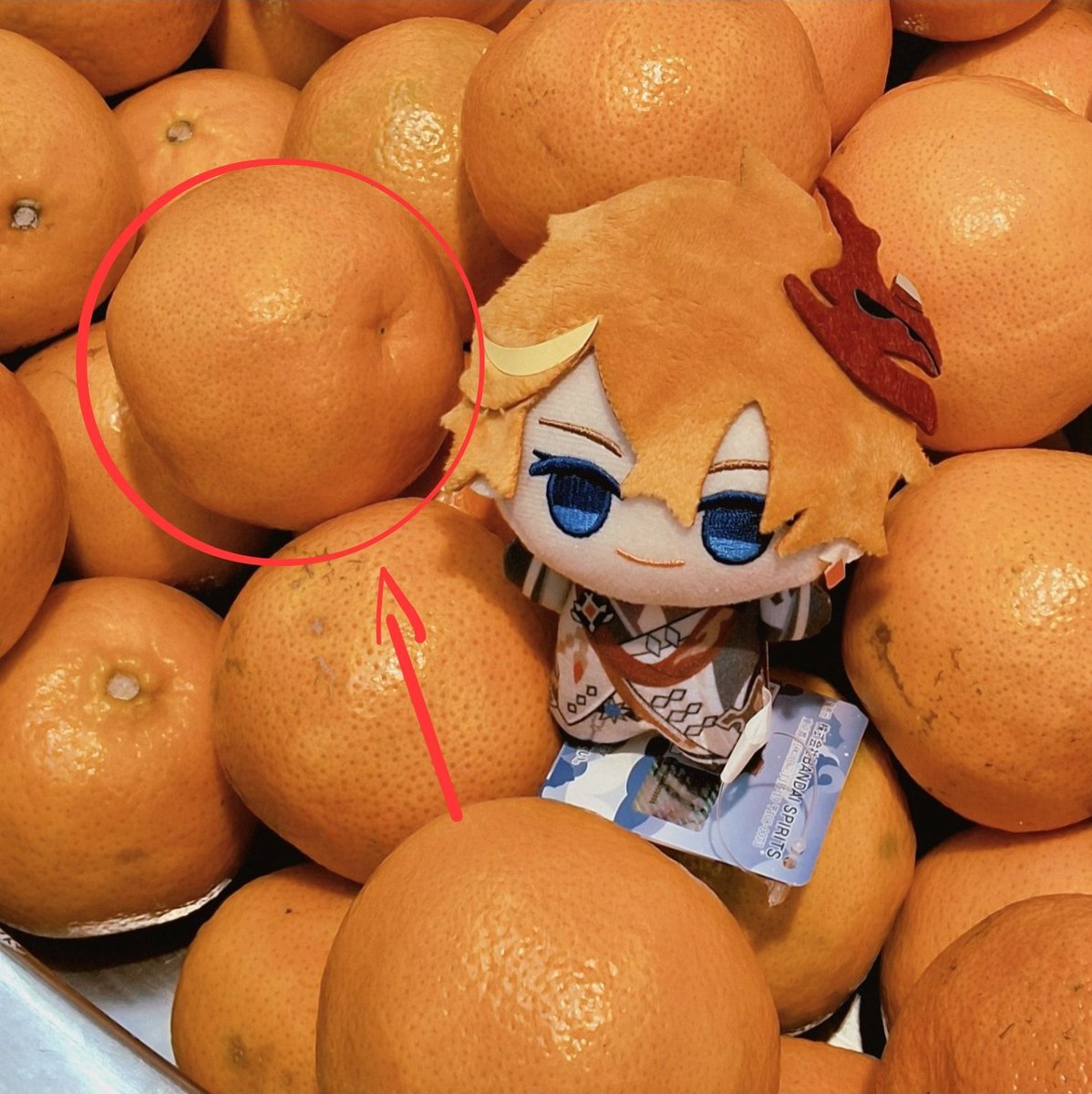 lcsaii's tweet photo. who is this 😭 https://t.co/4jeH9Bl9ke