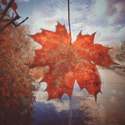 MilaDimitri1's tweet photo. #НовыйАватар https://t.co/iigmtiJwc2