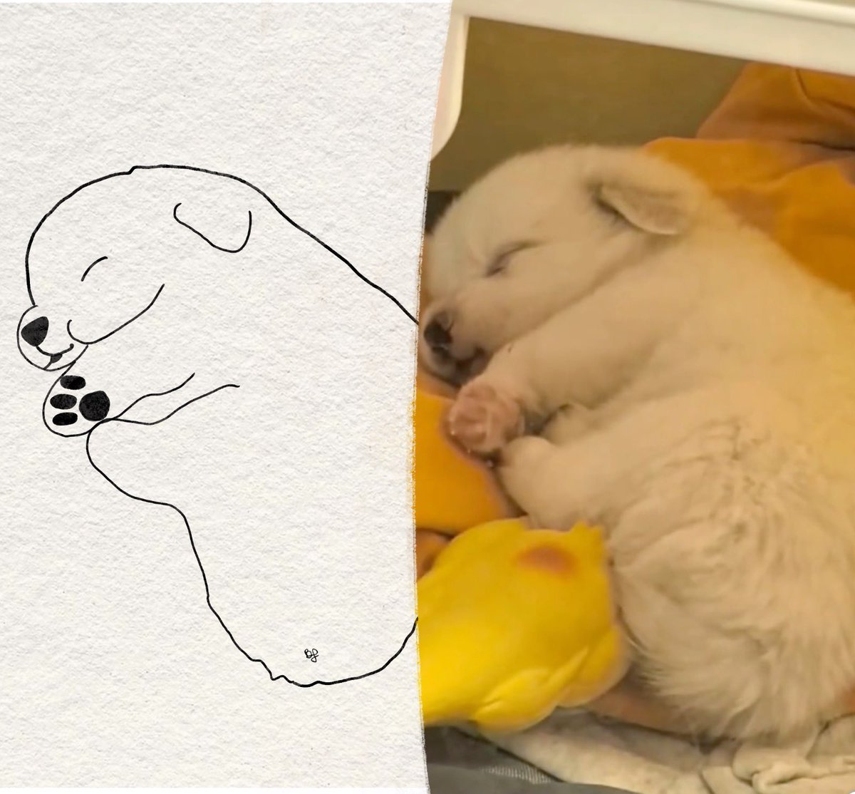 twaniimals's tweet photo. https://t.co/FewCCWYmph