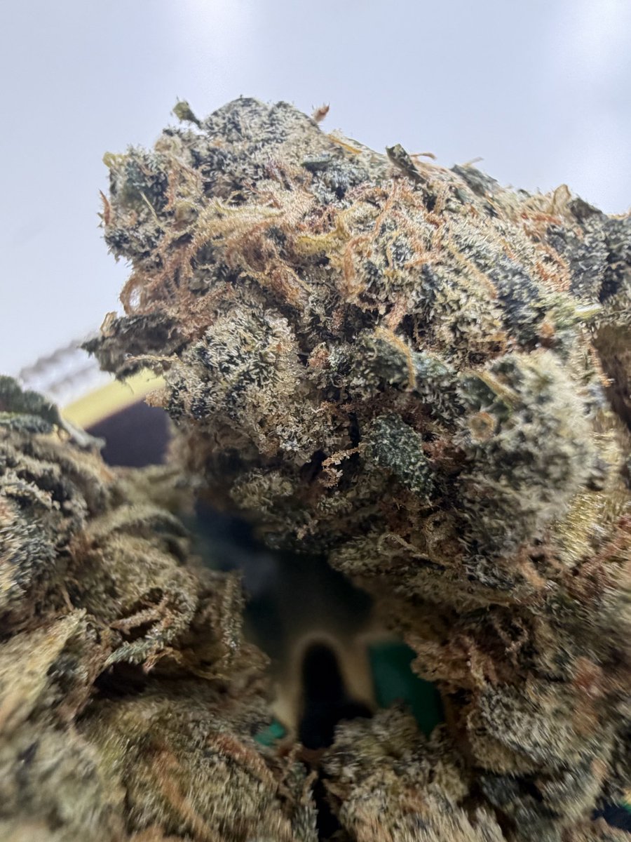 RisingStrainz's tweet photo. Some fire right here not the best trim but terps , trichome coverage all there for me! ⛽️ 

#Greenbritain
#GBfirst20
#Freesample
#Freegiveaway
#GB https://t.co/iMAX5fcoZF