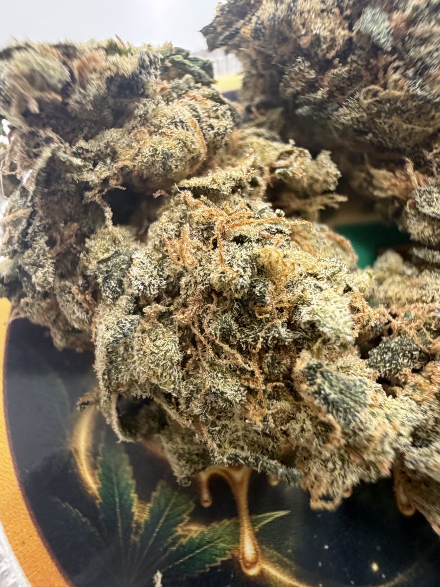 RisingStrainz's tweet photo. Some fire right here not the best trim but terps , trichome coverage all there for me! ⛽️ 

#Greenbritain
#GBfirst20
#Freesample
#Freegiveaway
#GB https://t.co/iMAX5fcoZF