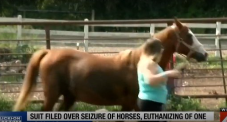 misterM699_'s tweet photo. You guys are retarded; look, the horse in the article isn't the same one as in the photo. https://t.co/awbuD40cJJ