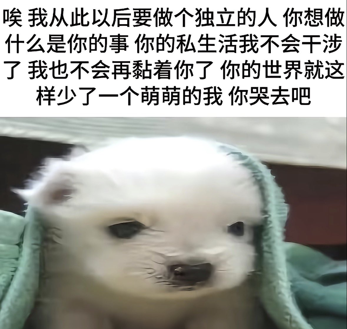 chenovo520's tweet photo. https://t.co/gJM9x7gZpr