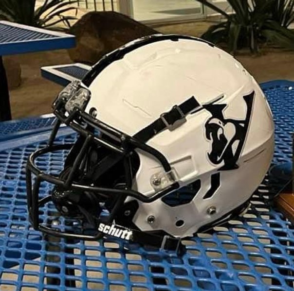 HelmetAz's tweet photo. ๐Parade of Champions๐
2025 Verrado Vipers
The @Verrado_Vipers won the 2025 #AZHelmetChallenge AND #AZCharityChallenge. It was a wild ride and we appreciate their support of their community and @StJude. #repAZ https://t.co/0e6k8zK0WL