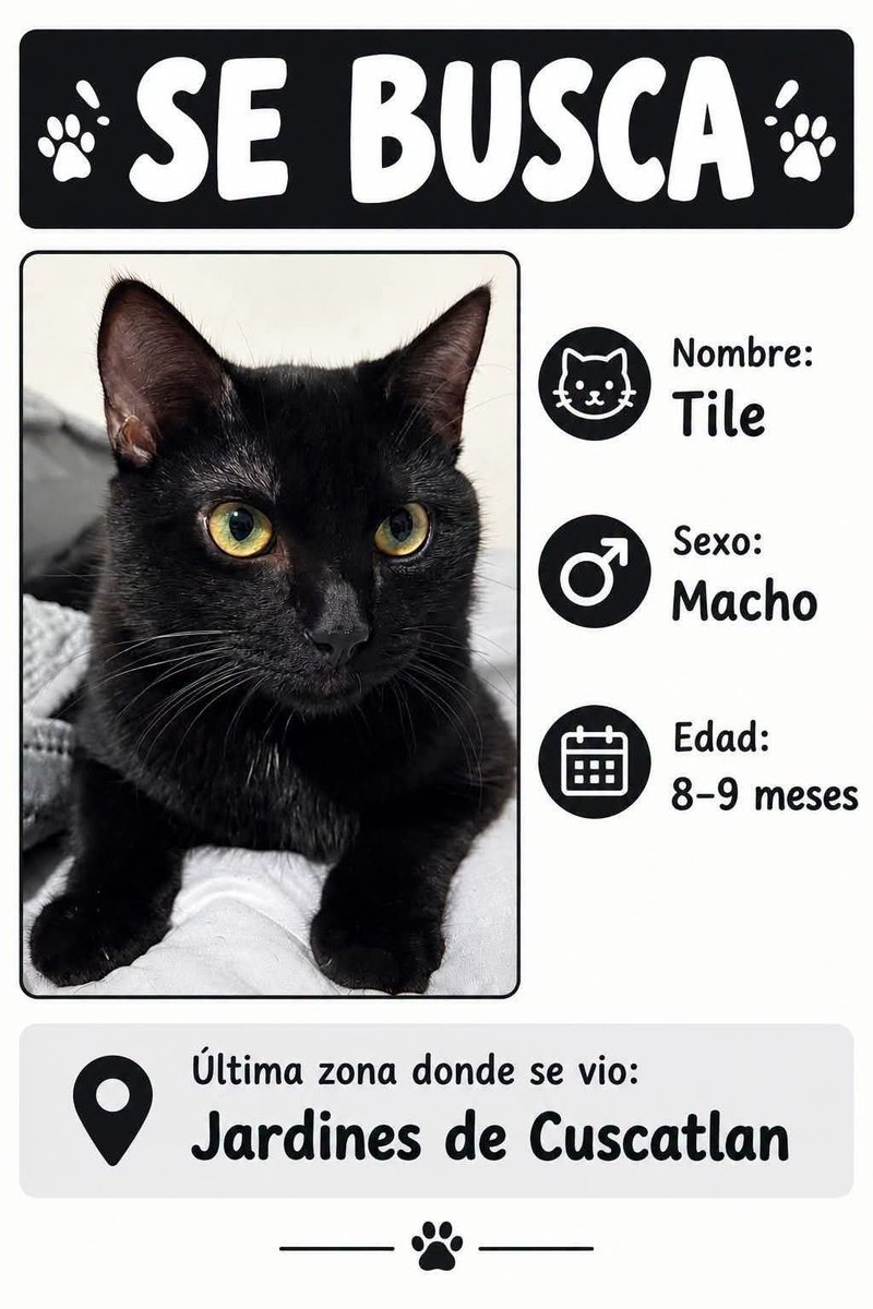 lyssitta's tweet photo. #ServicioSocial
SE BUSCA 🚨🚨 https://t.co/xH5vulC2P1