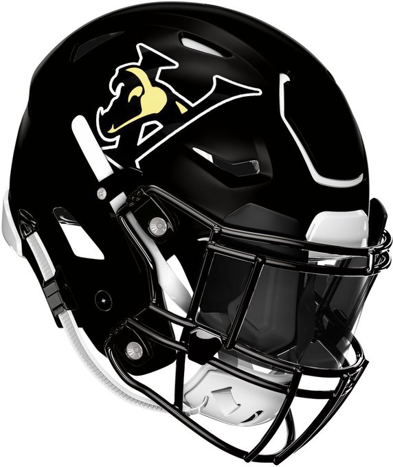 HelmetAz's tweet photo. ๐Parade of Champions๐
2025 Verrado Vipers
The @Verrado_Vipers won the 2025 #AZHelmetChallenge AND #AZCharityChallenge. It was a wild ride and we appreciate their support of their community and @StJude. #repAZ https://t.co/0e6k8zK0WL