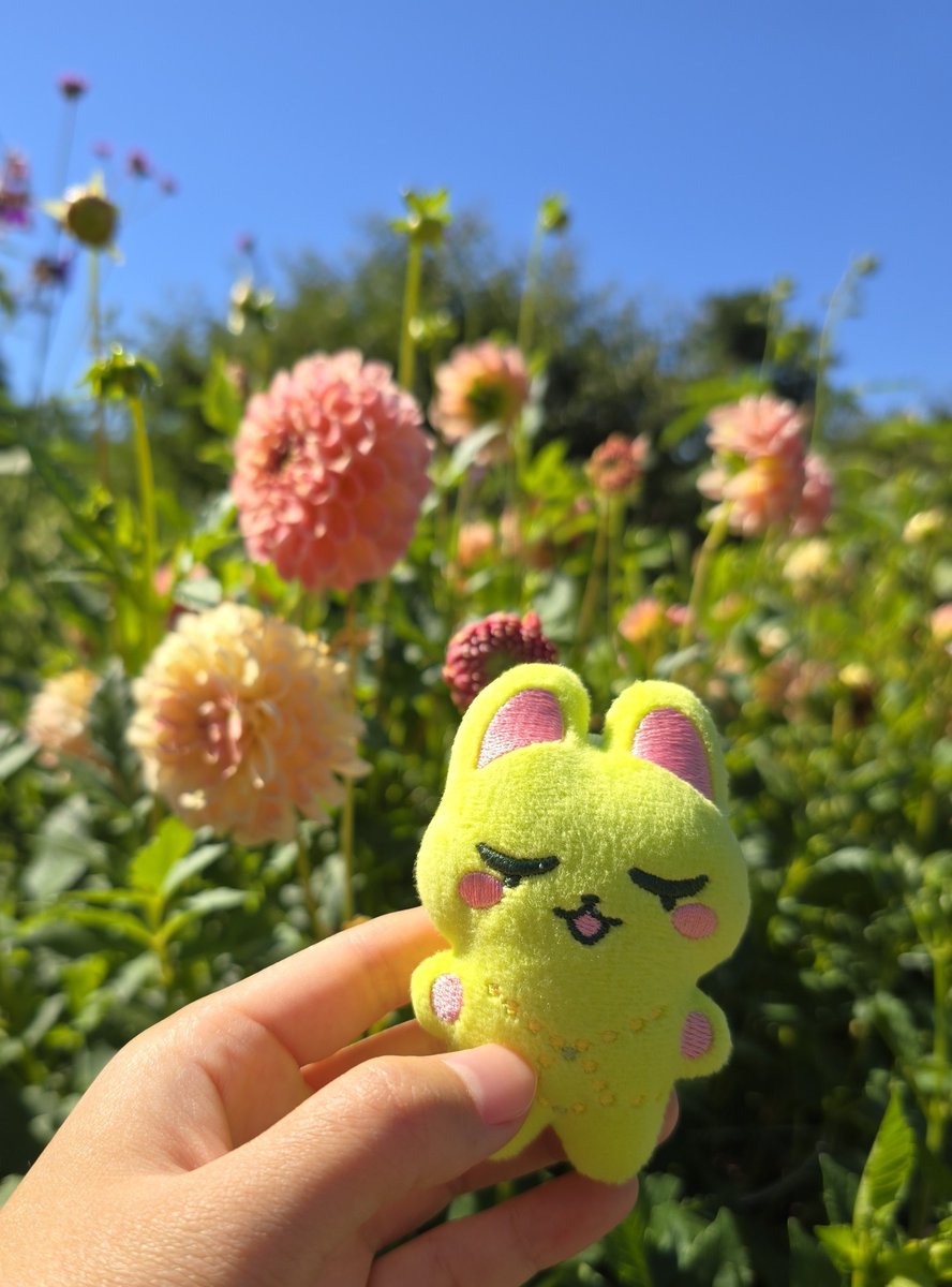 pikokowr's tweet photo. 🥺🥹💖💕💕 https://t.co/5C0te1EUQJ