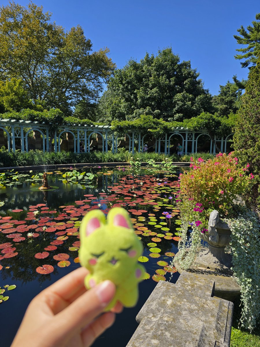 pikokowr's tweet photo. 🥺🥹💖💕💕 https://t.co/5C0te1EUQJ
