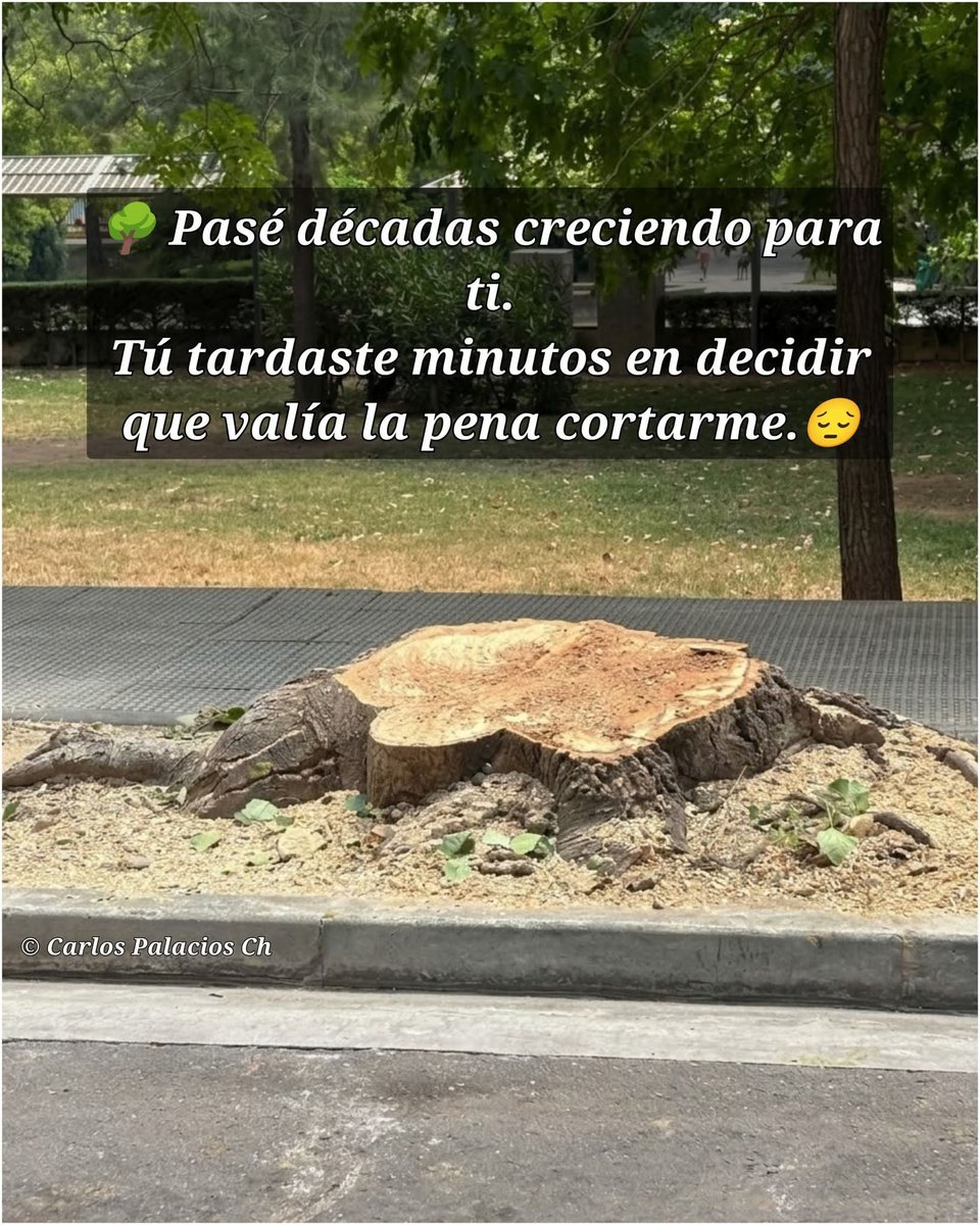 Cristin36942577's tweet photo. Triste realidad 😞 https://t.co/wrFpWpii8a