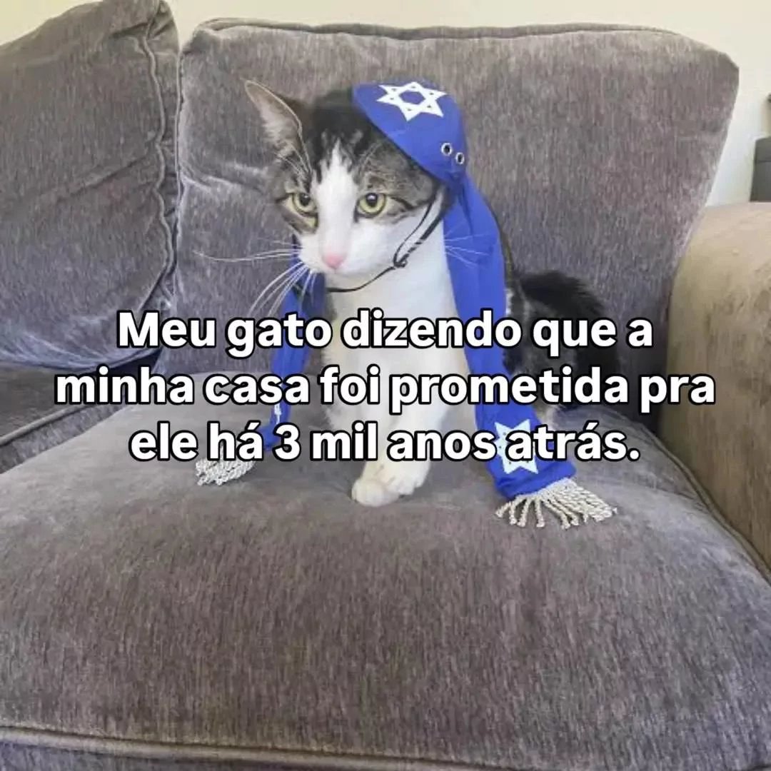 GRIPE_BOLASSIMA's tweet photo. @Teseu168 O cara acabou com o clima ao invés de seguir o roteiro, cabaço demais kkkkkk https://t.co/nesw60Tv7P