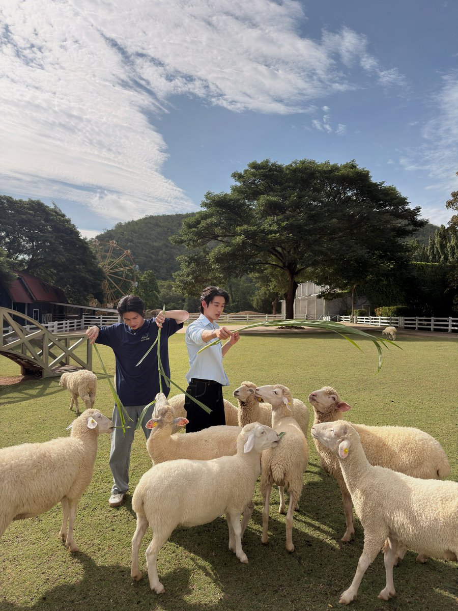 EstRvp's tweet photo. Day trip in ราชช์รีห์🚙🐑

#YouManiacSeriesEP6 https://t.co/GSqsExsEpU