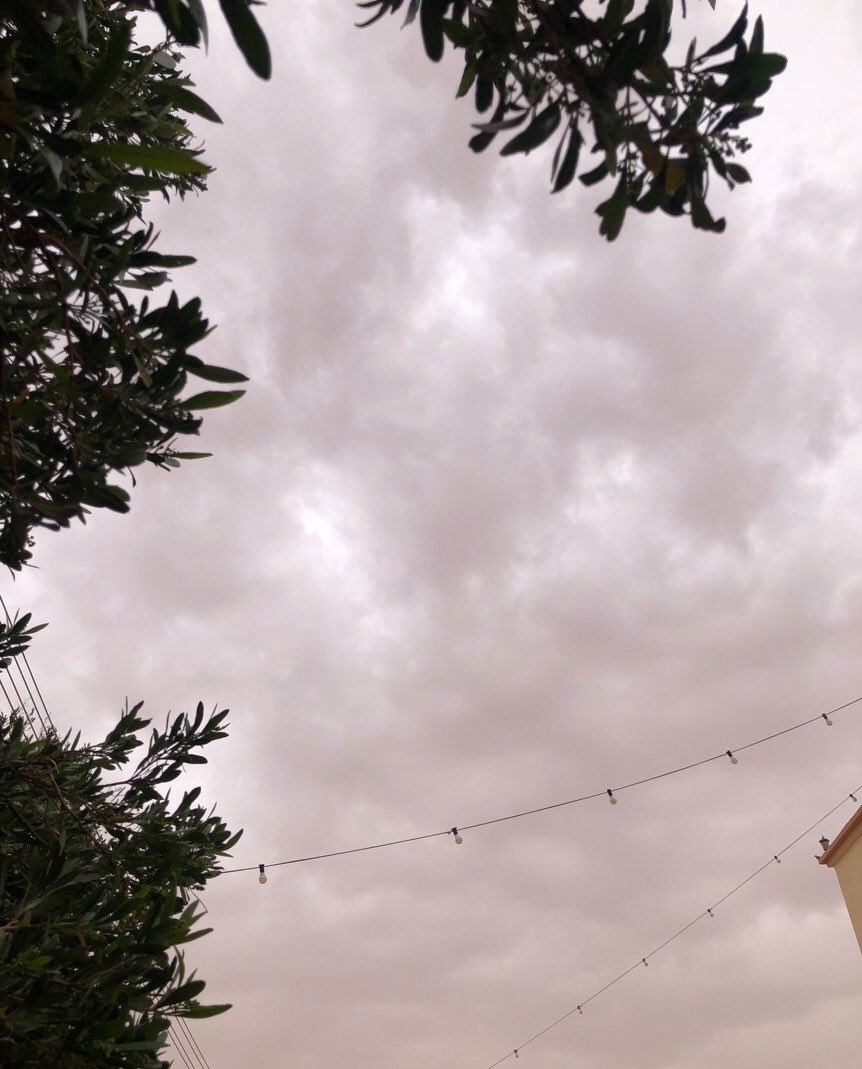 2nlrw's tweet photo. "حالت لفقدكُم أيّامنا فغَدت/سودًا وكانت بكُم بِيضًا ليَالينَا"

رحم الله أبي وأمي كم كانت الحياة في أُنس وجودهما صفاءً خالصًا لا تشوبه شائبة،وكم تتكاثف ظلال الفقد وتثقل الشجون كلما استبدّ بالروح الشوق،واستقرّ في اليقين أن أطهر من مشى على هذه الأرض قد رحلا عنها،وسبقانا بخطوة نحو السماء.