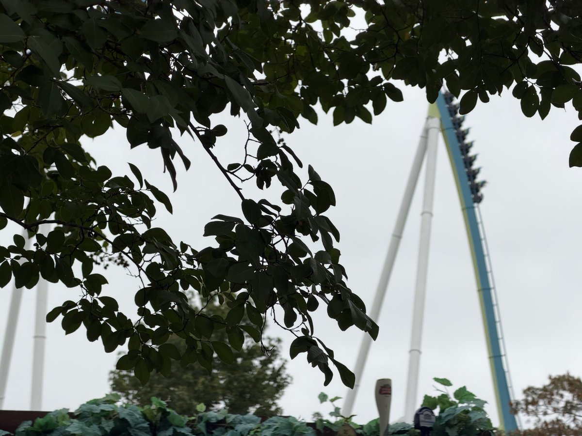 The_Fury_Guy's tweet photo. Fully overcast morning.. hoping the rain holds off 🤞 — who wants some #Furytime? @Carowinds https://t.co/MjUQI11Mzt