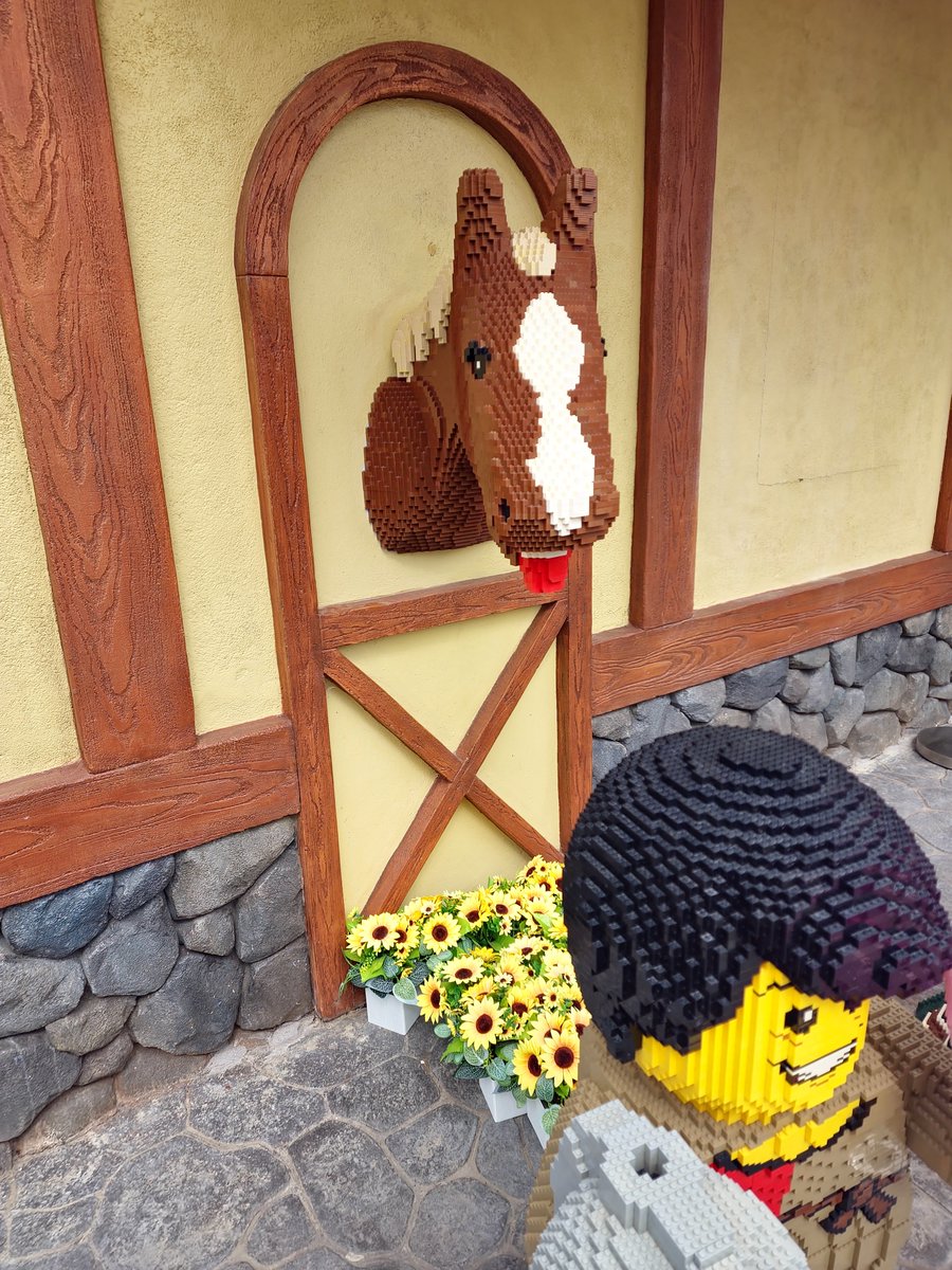 AngelJita's tweet photo. lego land https://t.co/dR7u2J7VFn