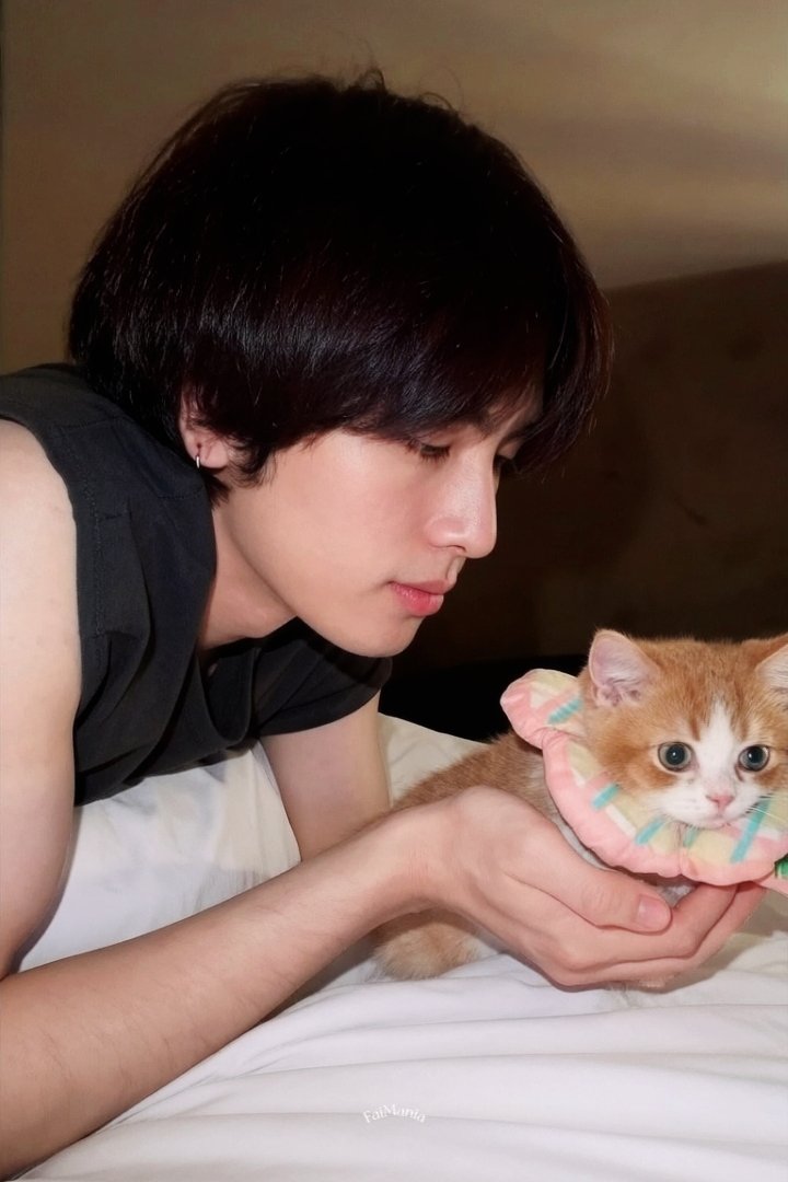 faimania888's tweet photo. แพ้...แพ้มาก ละมุนสุด🐱💕

แมว เติม แมว

#Santapp https://t.co/q0xuHY5kyU