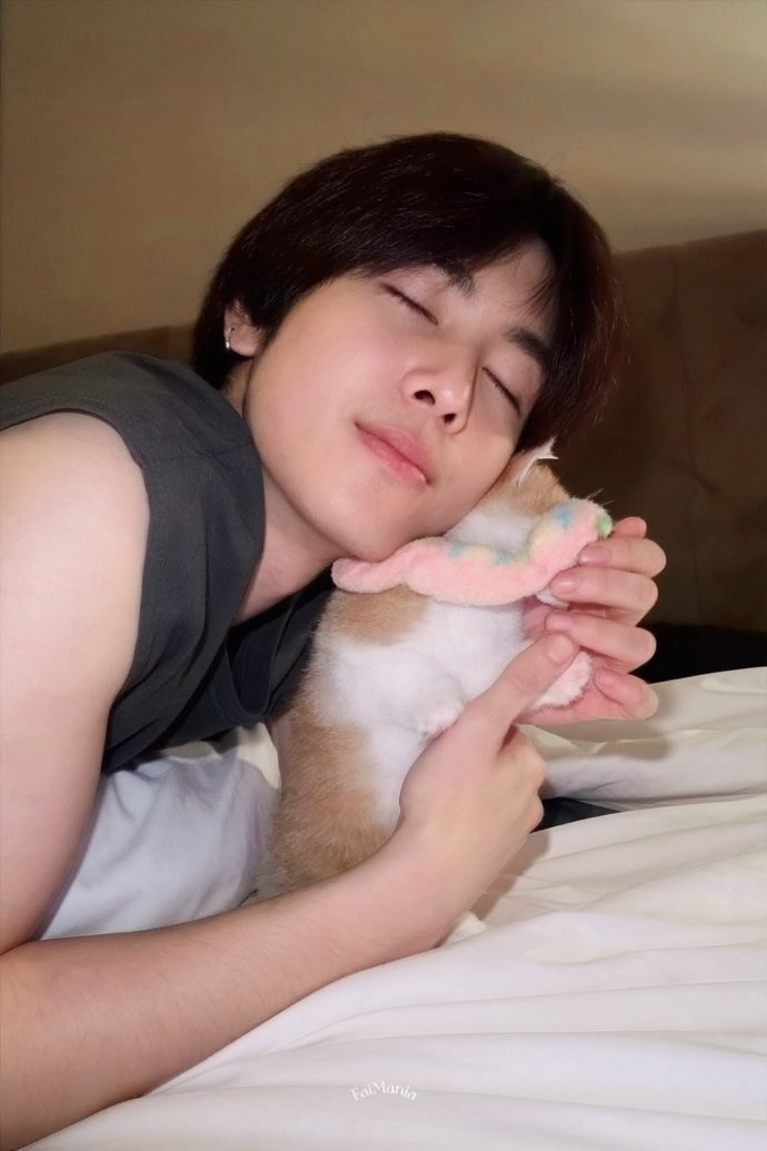 faimania888's tweet photo. แพ้...แพ้มาก ละมุนสุด🐱💕

แมว เติม แมว

#Santapp https://t.co/q0xuHY5kyU