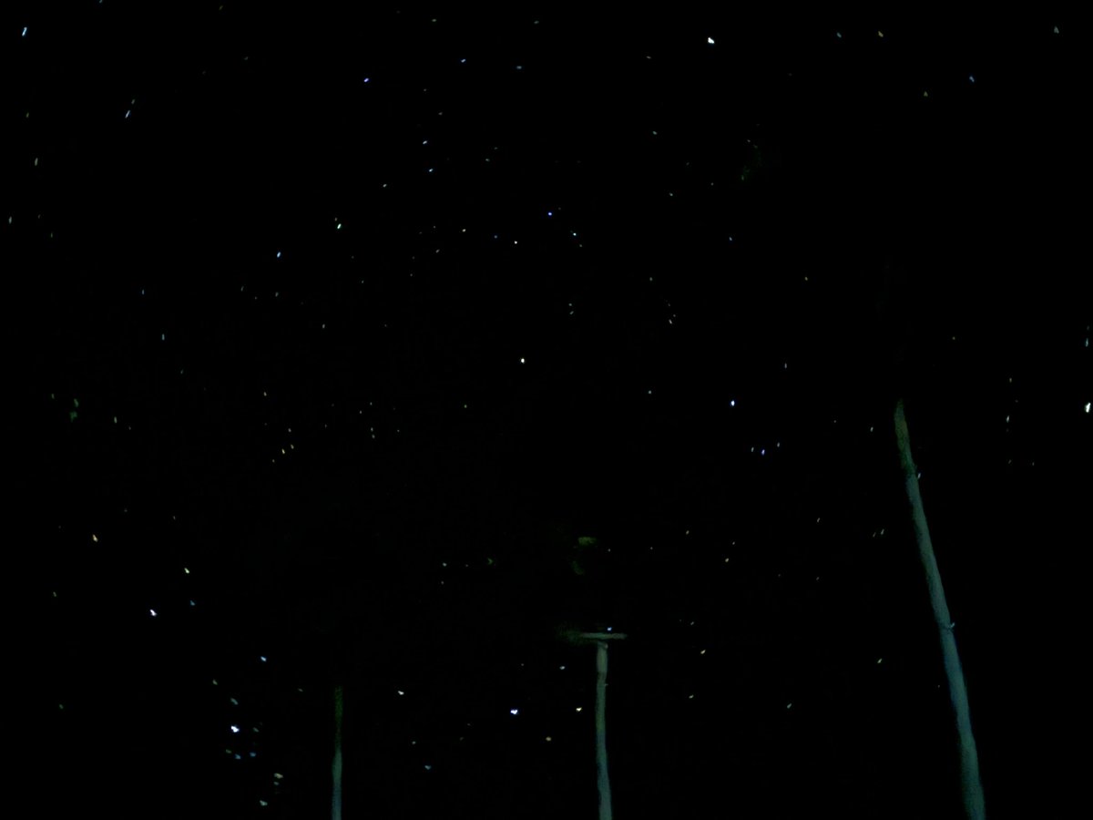 mathtan5's tweet photo. 島の星空（iPhone16 ナイトモード） https://t.co/reoxzxm2o8