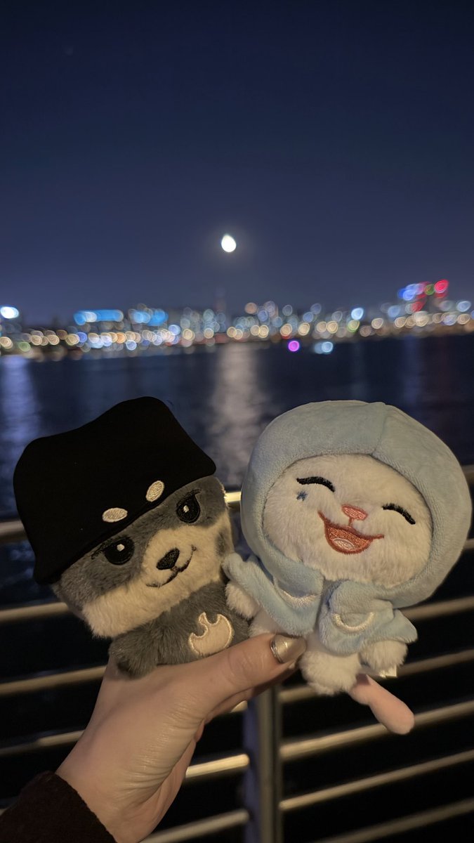 mtwsei's tweet photo. 한강にTWIMI連れてきた♡
パリピボートと一緒に♪ https://t.co/tiXuosl68V