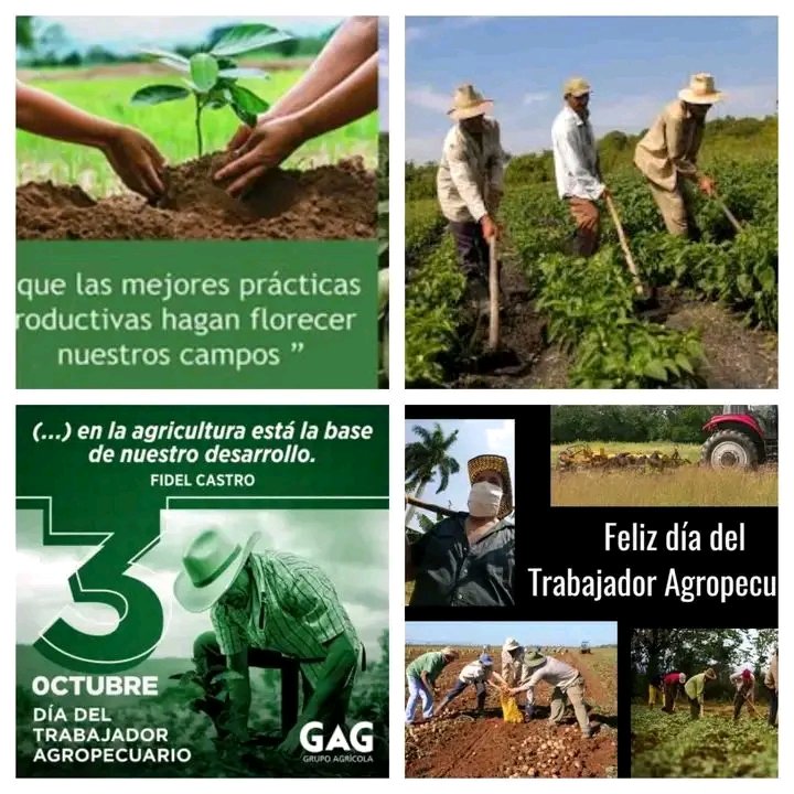 MildreyDelis's tweet photo. Muchas Felicidades.
#FMCSantiago
#CubaSoberana https://t.co/FKYoc4WHFs