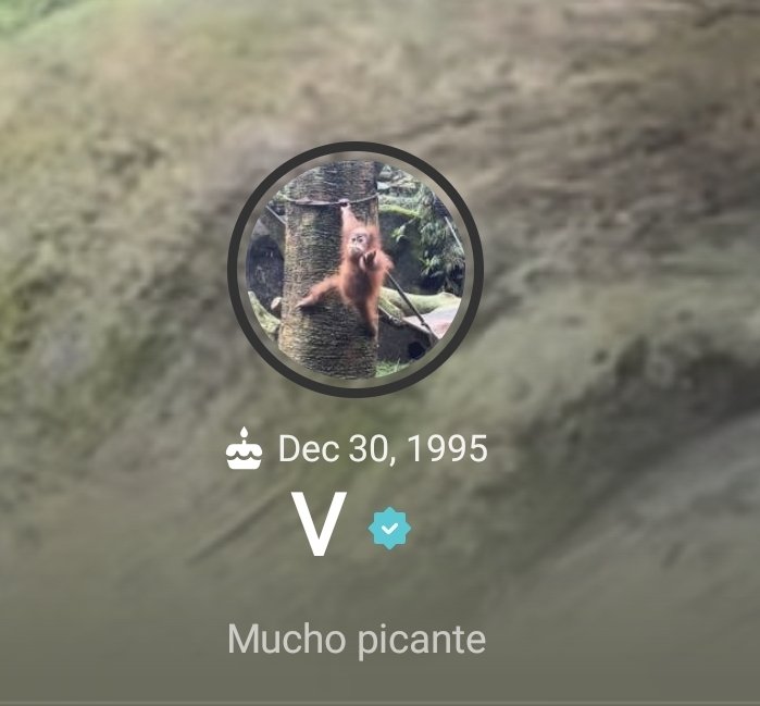 nm9711's tweet photo. Taehyung cambió su foto de perfil y biografía en Weverse 🤭

Ahora su biografía dice "Mucho Picante" https://t.co/DjeuonHqSx