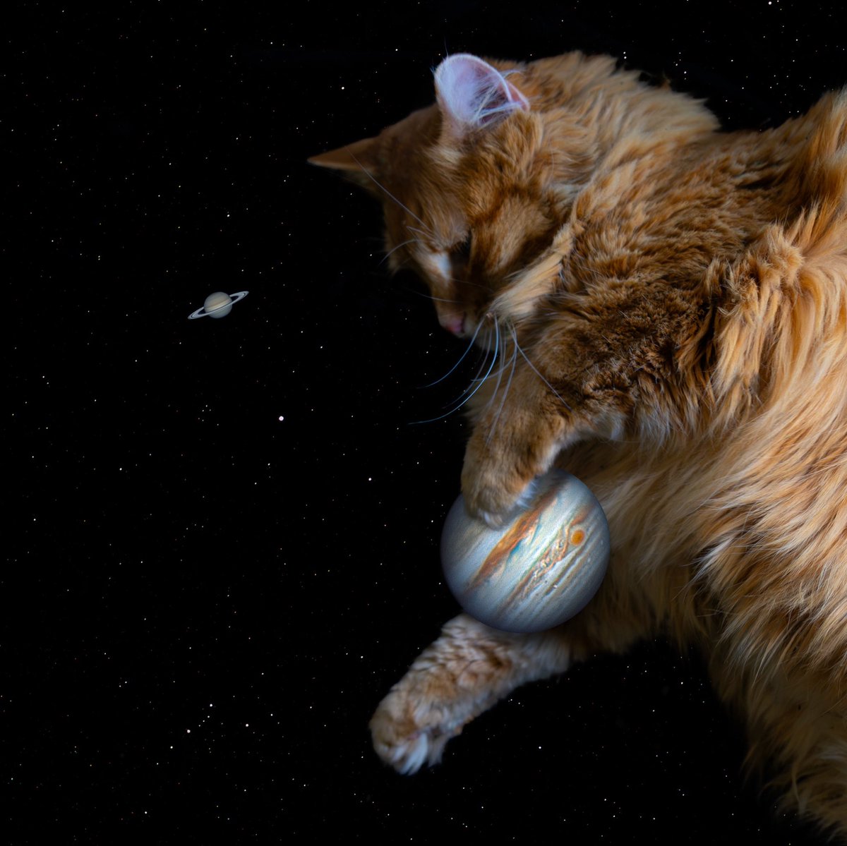 AJamesMcCarthy's tweet photo. Gregory NO 

PUT THE GAS GIANT BACK https://t.co/d59OMaOZV4