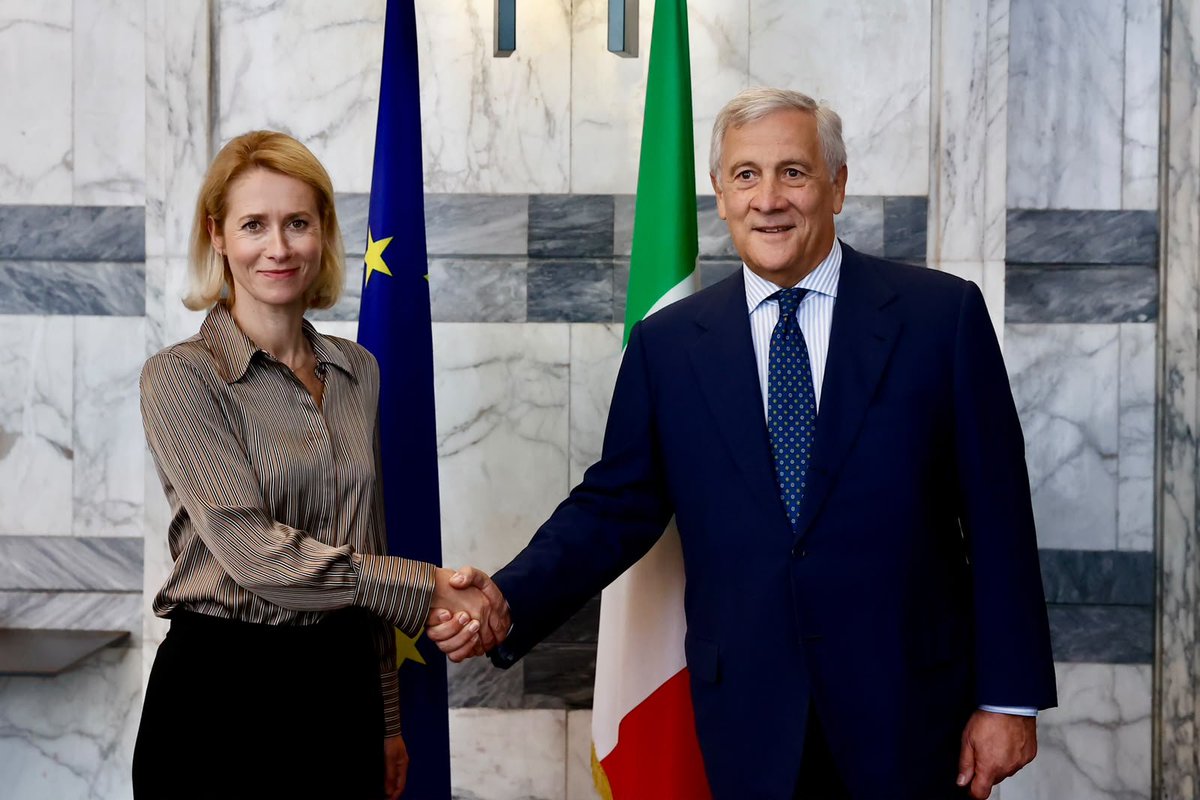 ChanceGardi's tweet photo. La felicità quando incontri una più ritardata di te https://t.co/QouEnj3399