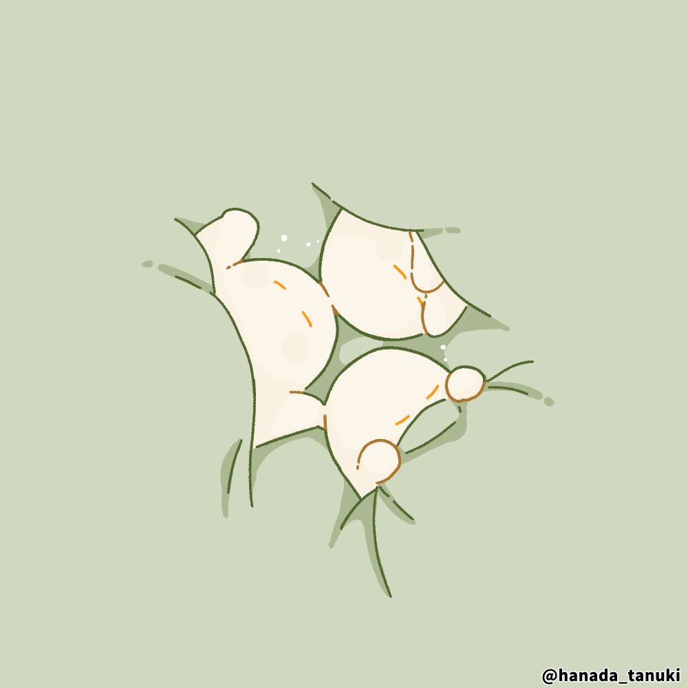 hanada_tanuki's tweet photo. おやすみ https://t.co/2Z3Mg0RLDe
