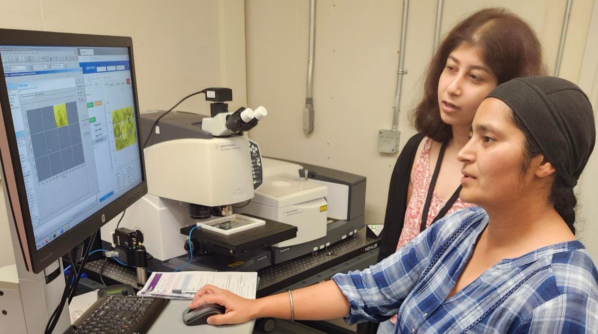 CanLightSource's tweet photo. Researchers @plantagguelph @AAFC_Canada are studying an innovative way to manage #soybean cyst nematode, a damaging pest worldwide. This project could lead to better crop rotation strategies &amp; reduce reliance on pesticides. More: https://t.co/q5J1QYFrlI
#ResearchInAction https://t.co/Y51wcrnKdf