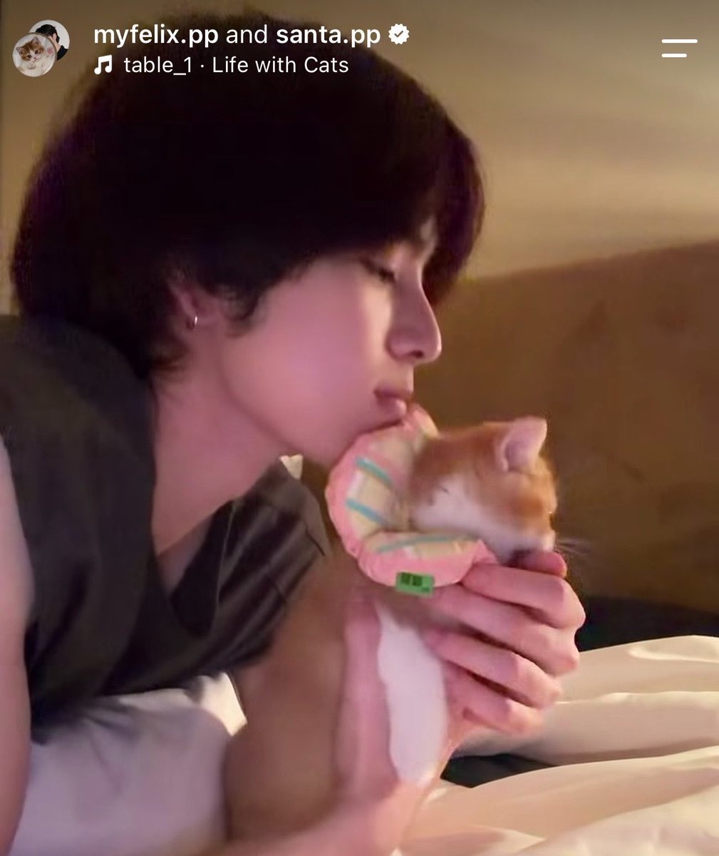 withhercrush's tweet photo. คนนึงลงรูปอยู่เชียงใหม่ คนนึงลงอยู่กับแมวววว อร้ายยยยยย🫪🫪 https://t.co/fEQQhLww5H