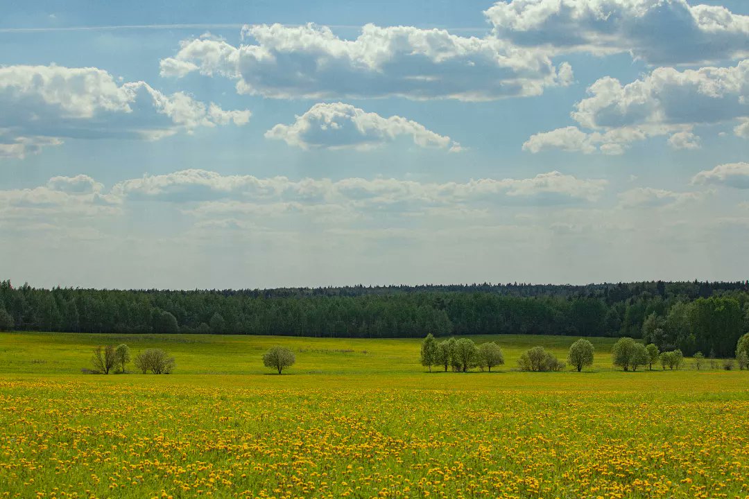 Hazeerasarang's tweet photo. Photo by Pavel Barilov on June 26, 2025. https://t.co/2k83z9iXz3
