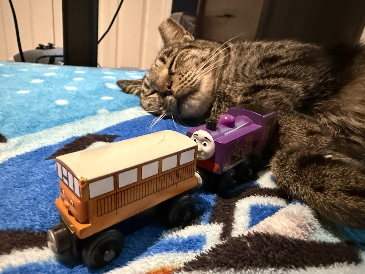 TylerBlackFive's tweet photo. Chloe &amp; Culdee &amp; Catherine https://t.co/gRNPzr2zV9