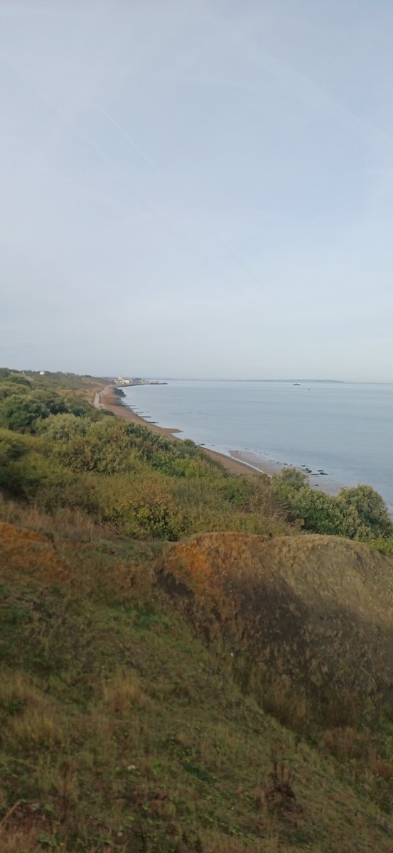 MarcHeathym007's tweet photo. At last, the Herne Bay Downs year list moves on to 140 species with Red legged Partridge and Reed Bunting added this morning. @KentishPlover #kentbirding https://t.co/R23rThh5qO