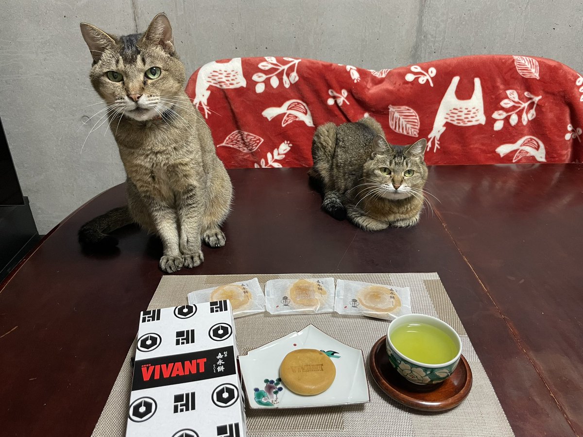 bulan_nyan's tweet photo. 薄皮饅頭で有名な福島の柏屋さんからVIVANT嘉永餅なる和菓子を発見！なんと、別班は日本全国、どこにでも潜んでいる。シンシーはその全貌を掴めるはずはない😆
別班頑張れ！全員生還！明日が待ち遠しすぎてワクワクが止まらないので、まずはお茶を一服。落ち着きを取り戻します😆
#VIVANTTep19 https://t.co/vX8LadHBb6