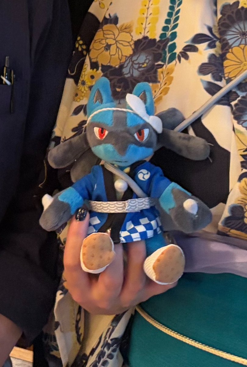 komarin05's tweet photo. @kiHana_ru70 FF外から失礼します
やはりSeriaかスリコで調達してます
そしてポケモンによっては着せることが難しいので、最悪1度服を軽く破壊して着せてから補修してます
ルカリオの手のトゲが邪魔で邪魔で… https://t.co/MYNKAuf2HG
