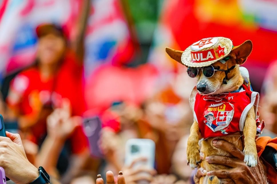 nyleferrari's tweet photo. Lamento mas o bolsonarismo é muito cafona jamais conseguiria uma imagem dessas é Lula no primeiro turno https://t.co/5k7WaMmAXe