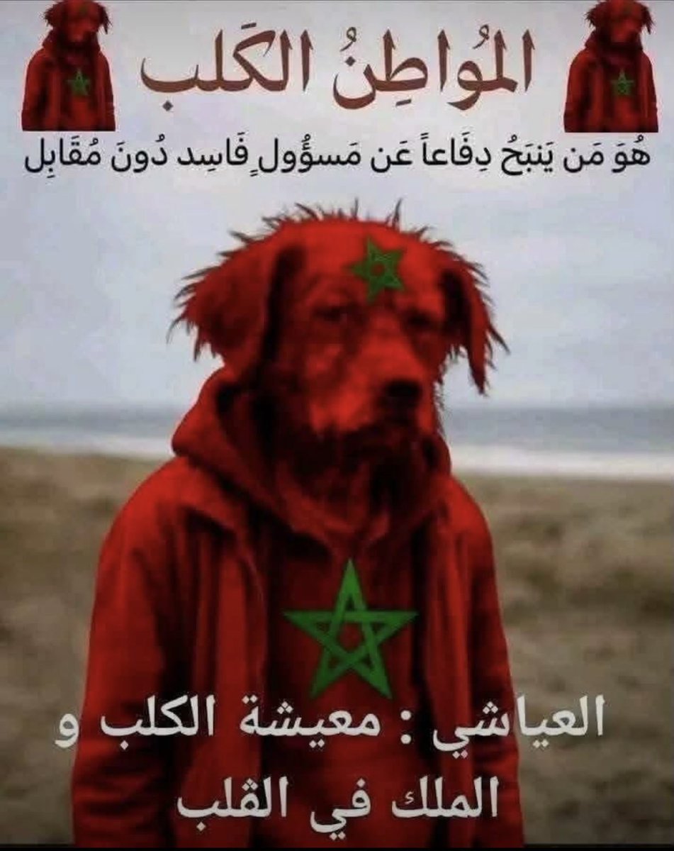 BasselHouda's tweet photo. @elfilalimaroc @EmadFawaz15 https://t.co/1WTgIDckuJ