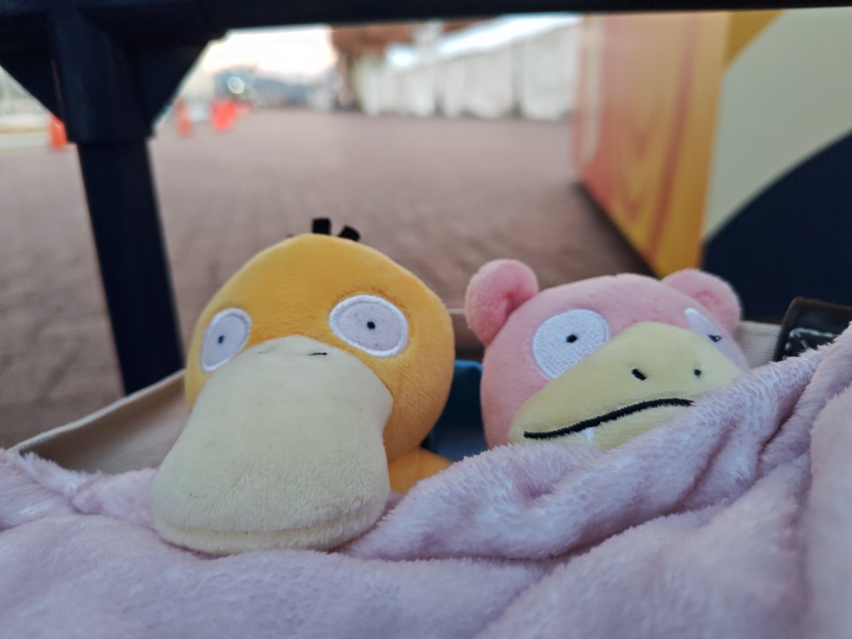 hemoppokkos's tweet photo. 寒い静岡です。
夜釣りはしょんない。
でも、マグロックはえらくしんどい。。。
(静岡弁) https://t.co/ii2kMNPC0R