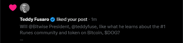 skidizzle87's tweet photo. @teddyfuse, President of @Bitwise, liked my solana:dog1viwbb2vWDpER5FrJ4YFG6gq6XuyFohUe9TXN65u post 😱 https://t.co/R00DLZp7WH